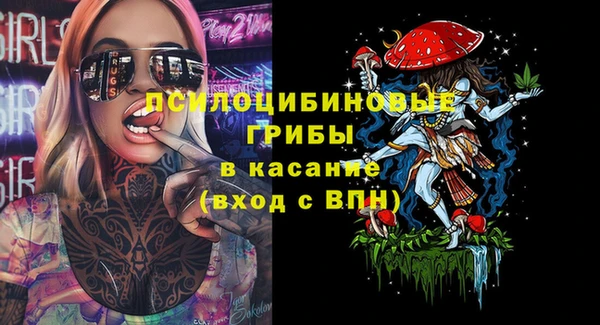 метадон Белокуриха