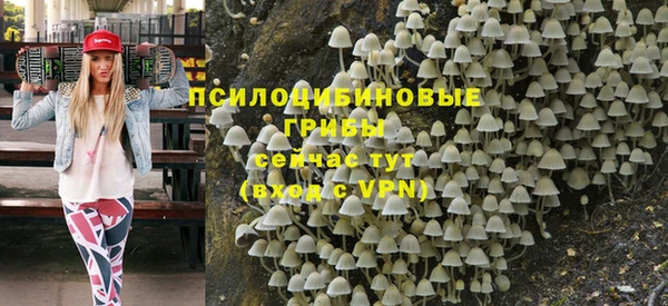 метадон Белокуриха