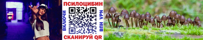 что такое наркотик  Короча  Псилоцибиновые грибы Cubensis 
